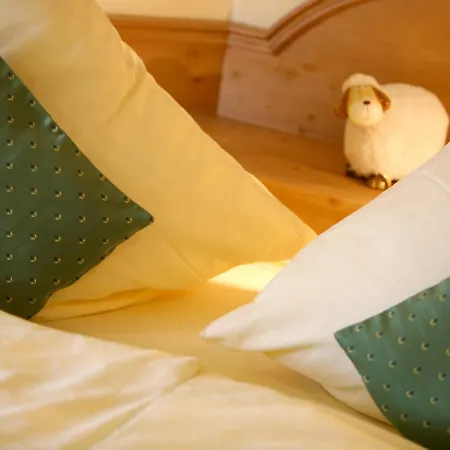 Daire Gaestehaus Gaiser